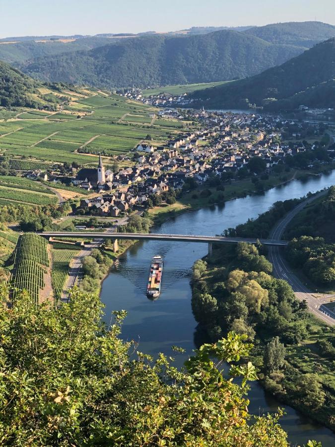 Apartment Mosel-Goetterlay Bruttig-Fankel Exteriér fotografie