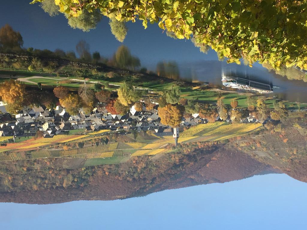Apartment Mosel-Goetterlay Bruttig-Fankel Exteriér fotografie