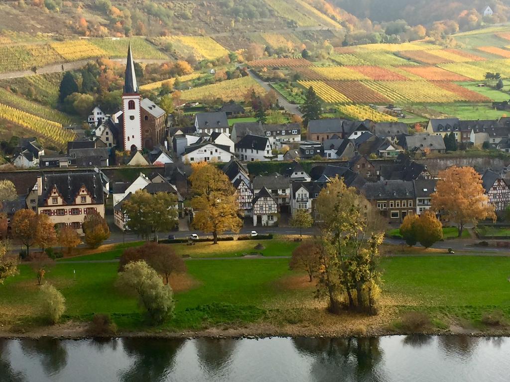Apartment Mosel-Goetterlay Bruttig-Fankel Exteriér fotografie