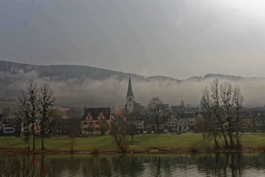 Apartment Mosel-Goetterlay Bruttig-Fankel Exteriér fotografie